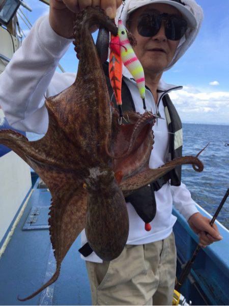 ヤザワ渡船 釣果