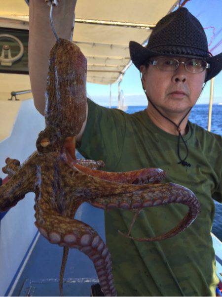 ヤザワ渡船 釣果