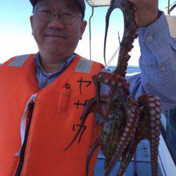 ヤザワ渡船 釣果