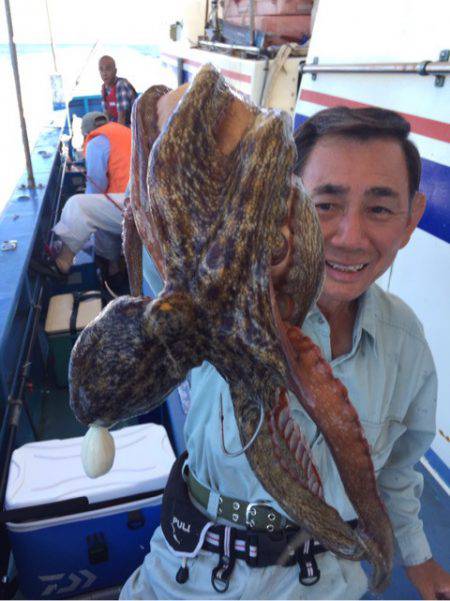 ヤザワ渡船 釣果