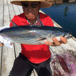 釣り堀水宝 釣果