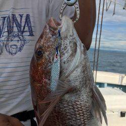 Monster Rush! 釣果