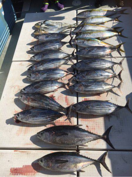 海楽隊 華栞丸 釣果