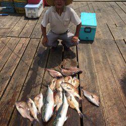 釣り堀水宝 釣果
