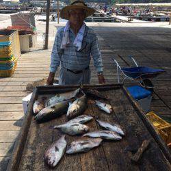 釣り堀水宝 釣果