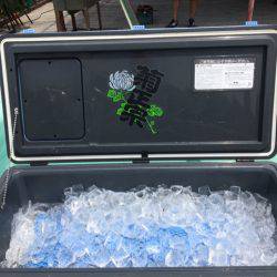 釣り堀水宝 釣果