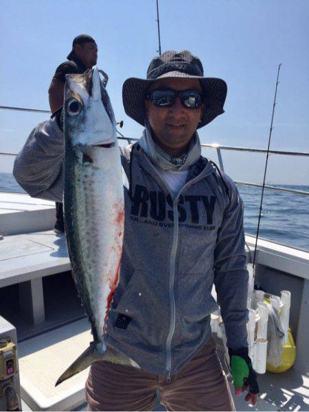 ビッグファイター 釣果