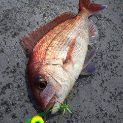 第二 海洋丸 釣果