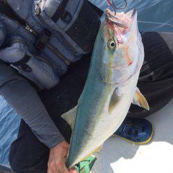 「LaGooN」蒼陽丸 日和号 釣果