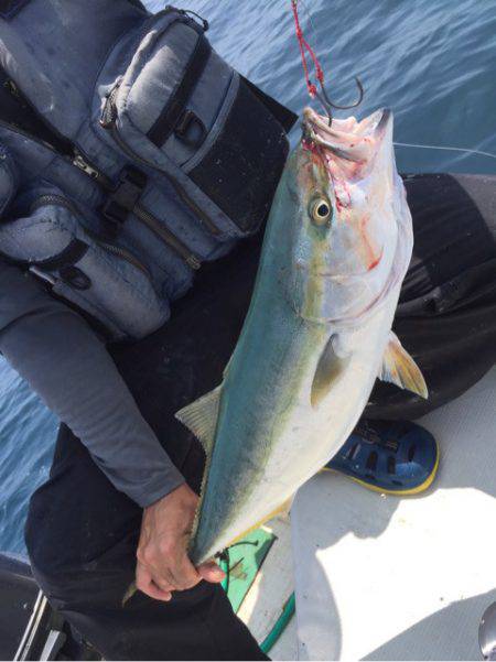 「LaGooN」蒼陽丸 日和号 釣果