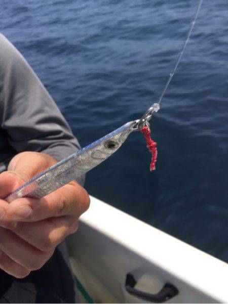 「LaGooN」蒼陽丸 日和号 釣果
