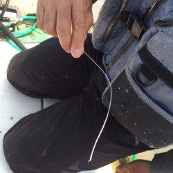 「LaGooN」蒼陽丸 日和号 釣果