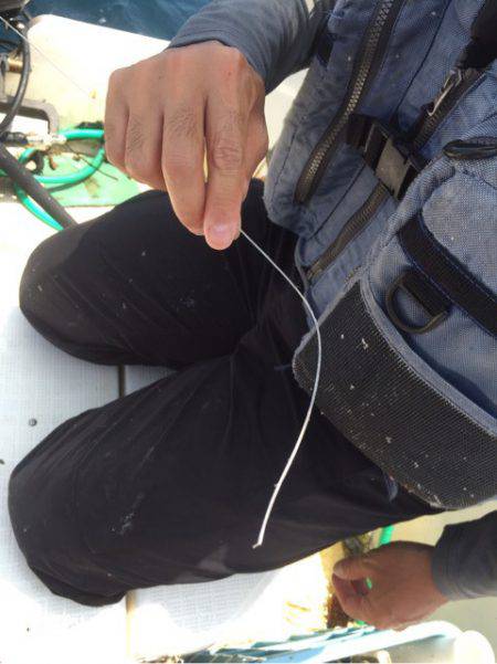 「LaGooN」蒼陽丸 日和号 釣果