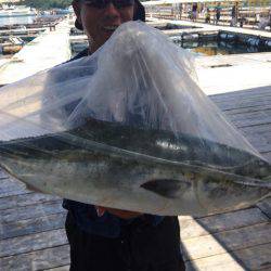 釣り堀水宝 釣果