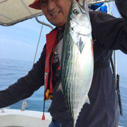 末広丸(熊本) 釣果