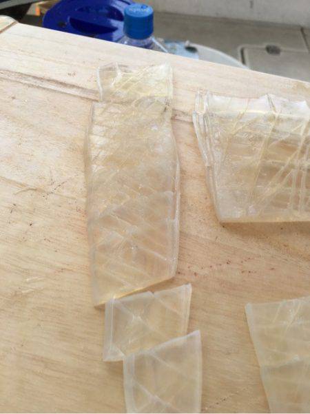 末広丸(熊本) 釣果