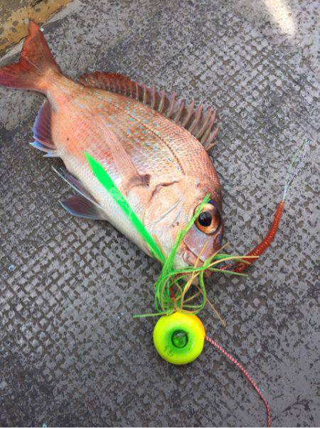 第二 海洋丸 釣果