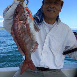 末広丸(熊本) 釣果