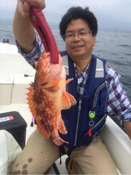 「LaGooN」蒼陽丸 日和号　 釣果