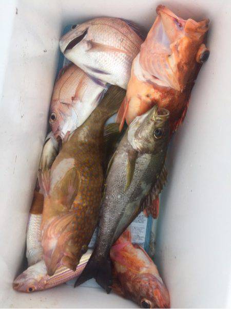 「LaGooN」蒼陽丸 日和号　 釣果