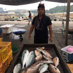 釣り堀水宝 釣果