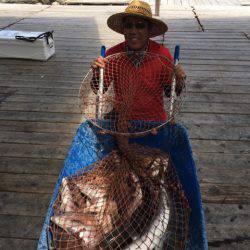 釣り堀水宝 釣果