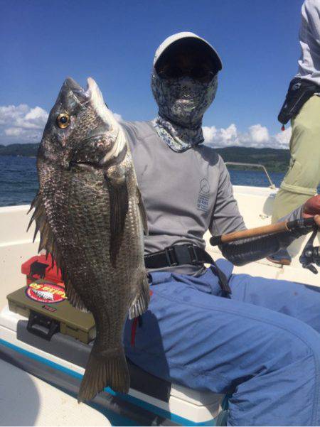 「LaGooN」蒼陽丸 日和号 釣果