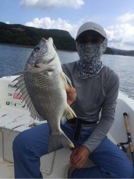 「LaGooN」蒼陽丸 日和号 釣果