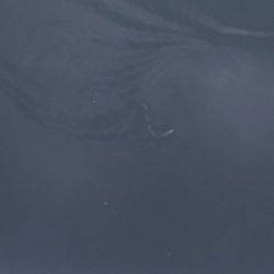 「LaGooN」蒼陽丸 日和号 釣果