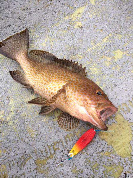 第二 海洋丸 釣果