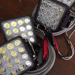 第二 海洋丸 釣果