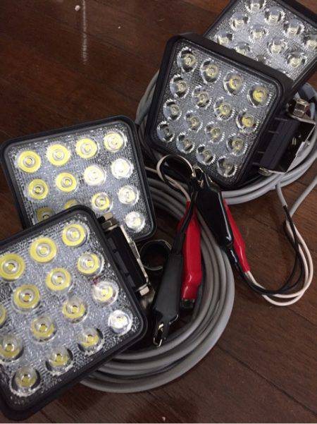 第二 海洋丸 釣果