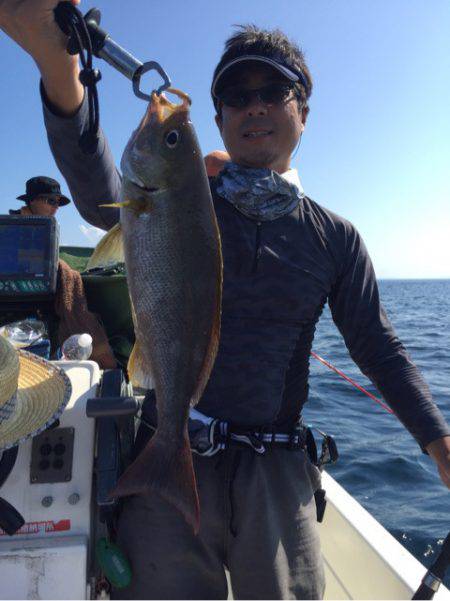 「LaGooN」蒼陽丸 日和号 釣果