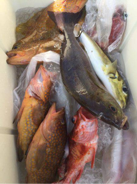 「LaGooN」蒼陽丸 日和号 釣果