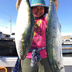 ビッグファイター 釣果