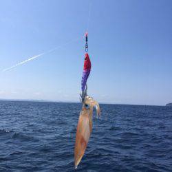 「LaGooN」蒼陽丸 日和号 釣果