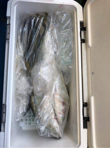 ヤザワ渡船 釣果