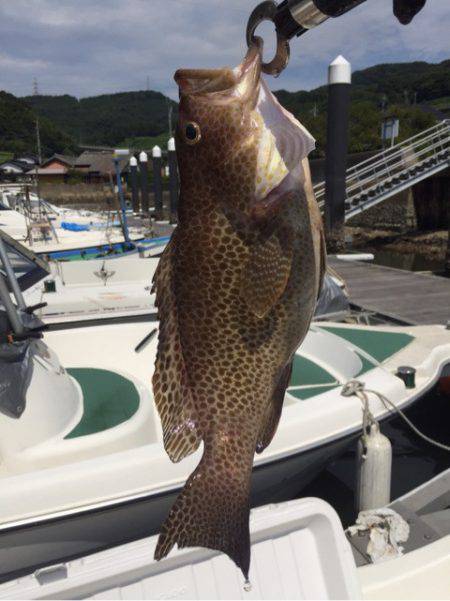 「LaGooN」蒼陽丸 日和号 釣果