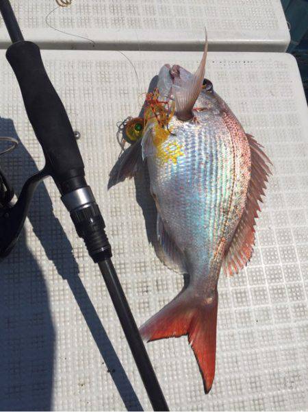 「LaGooN」蒼陽丸 日和号 釣果