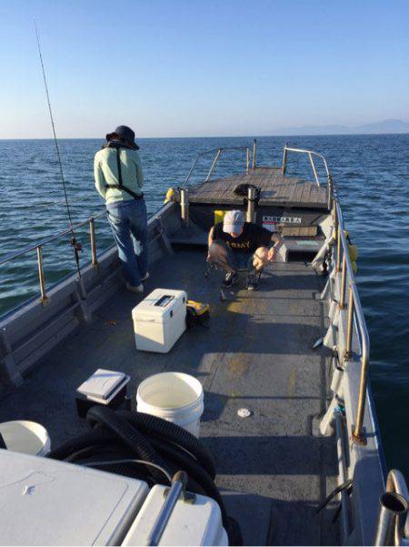 第二 海洋丸 釣果