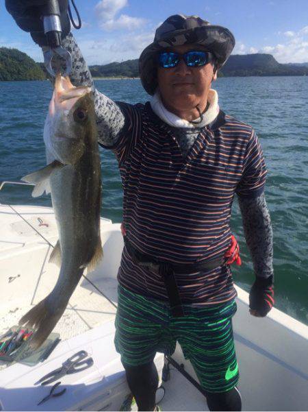 「LaGooN」蒼陽丸 日和号 釣果