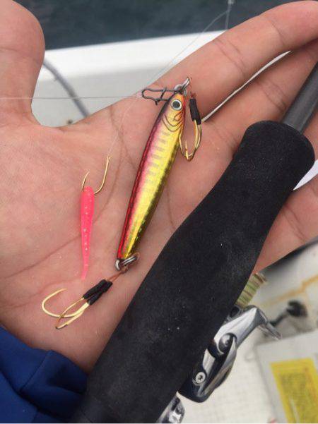 「LaGooN」蒼陽丸 日和号 釣果