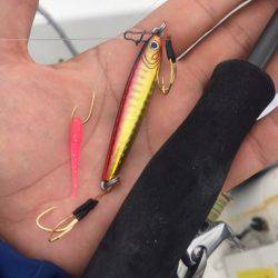 「LaGooN」蒼陽丸 日和号　 釣果