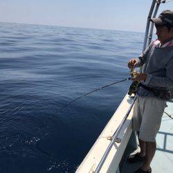 Monster Rush! 釣果