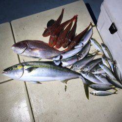 Monster Rush! 釣果