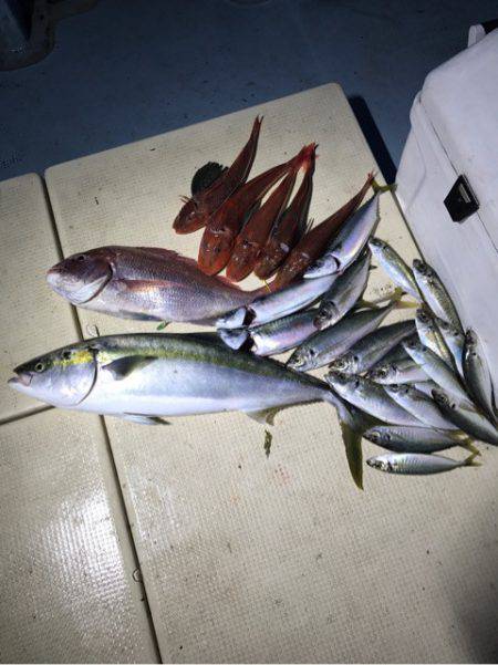 Monster Rush! 釣果