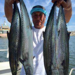 ビッグファイター 釣果