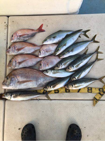 Monster Rush! 釣果