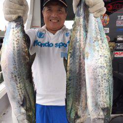 ビッグファイター 釣果