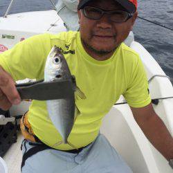 「LaGooN」蒼陽丸 日和号 釣果